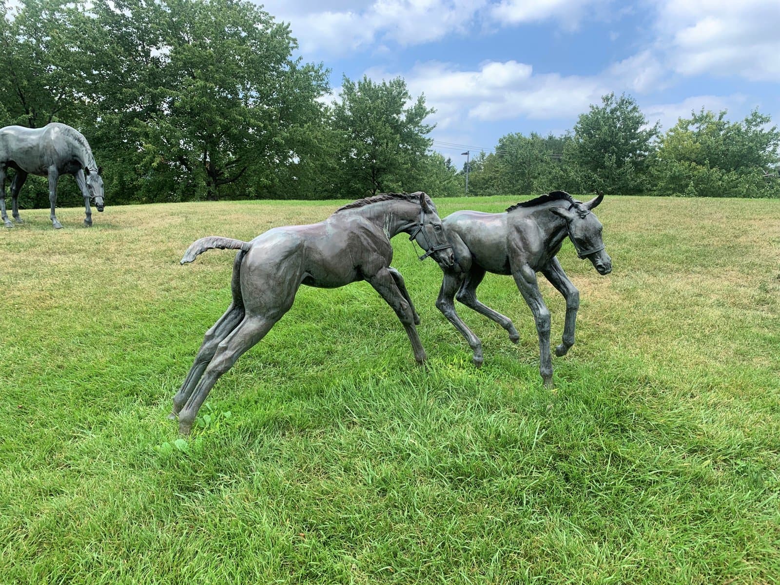 Frolicking Foals