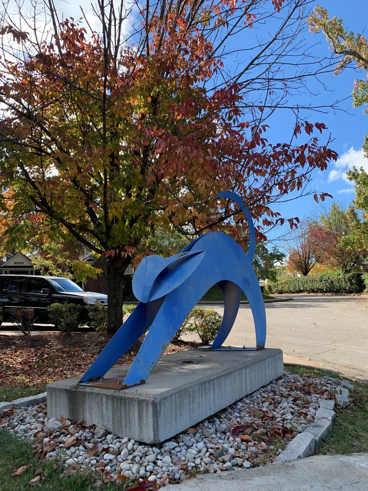 Blue Cat