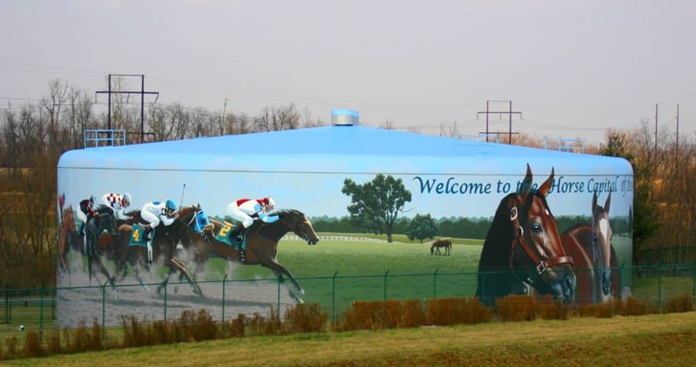 Welcome to the Horse Capital