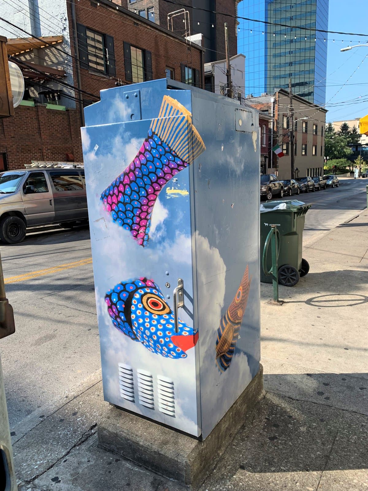 Fish in the Sky—Oh My!