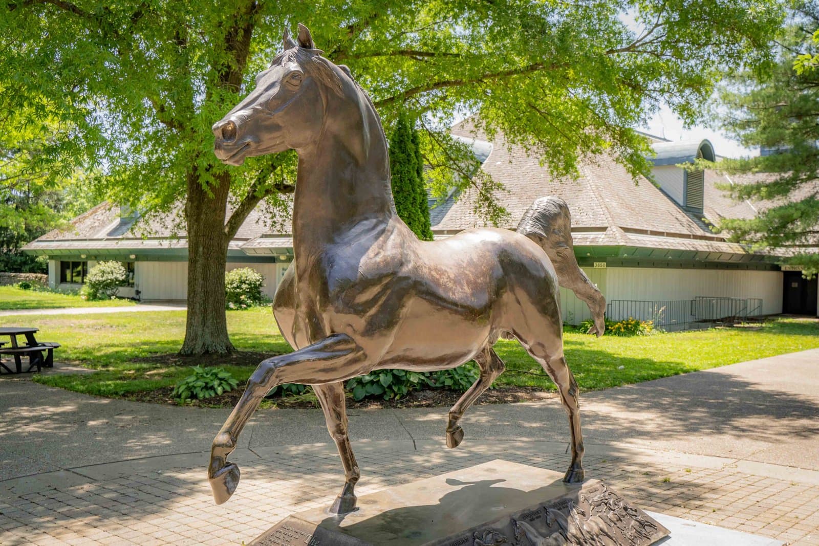 The Spirit of the Morgan Horse