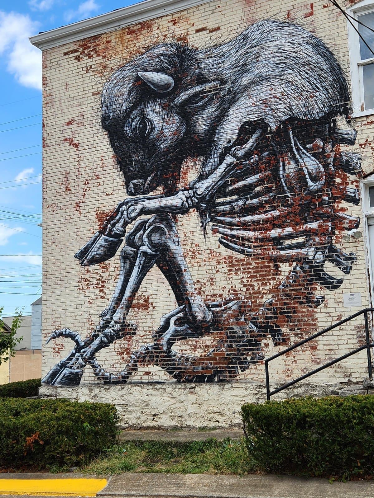Buffalo