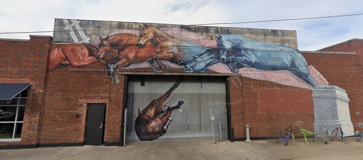 Horses Jumping
