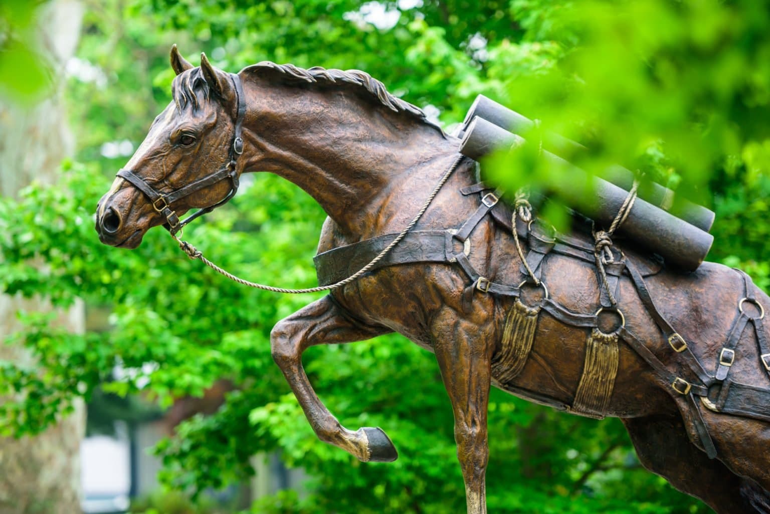 Sergeant Reckless