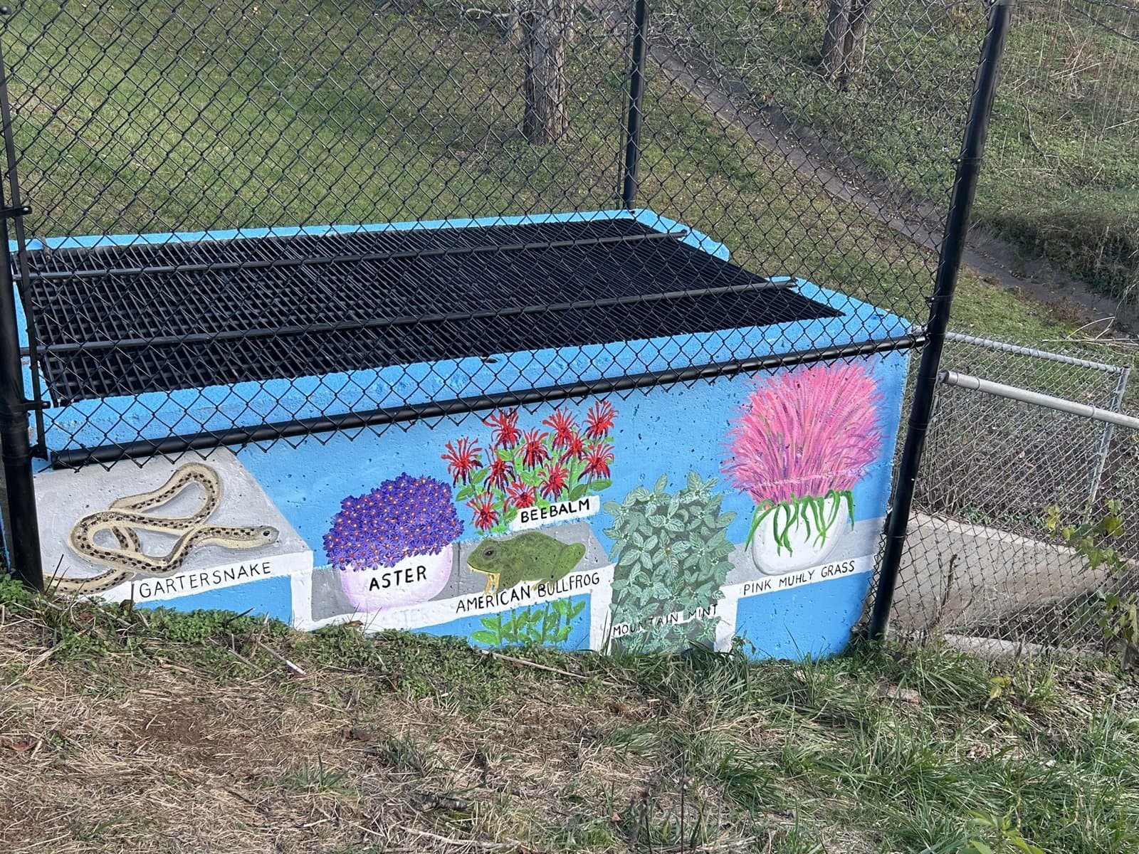 Waverly Park Murals