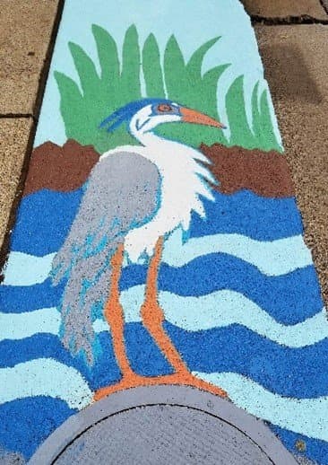 Heron Storm Drain
