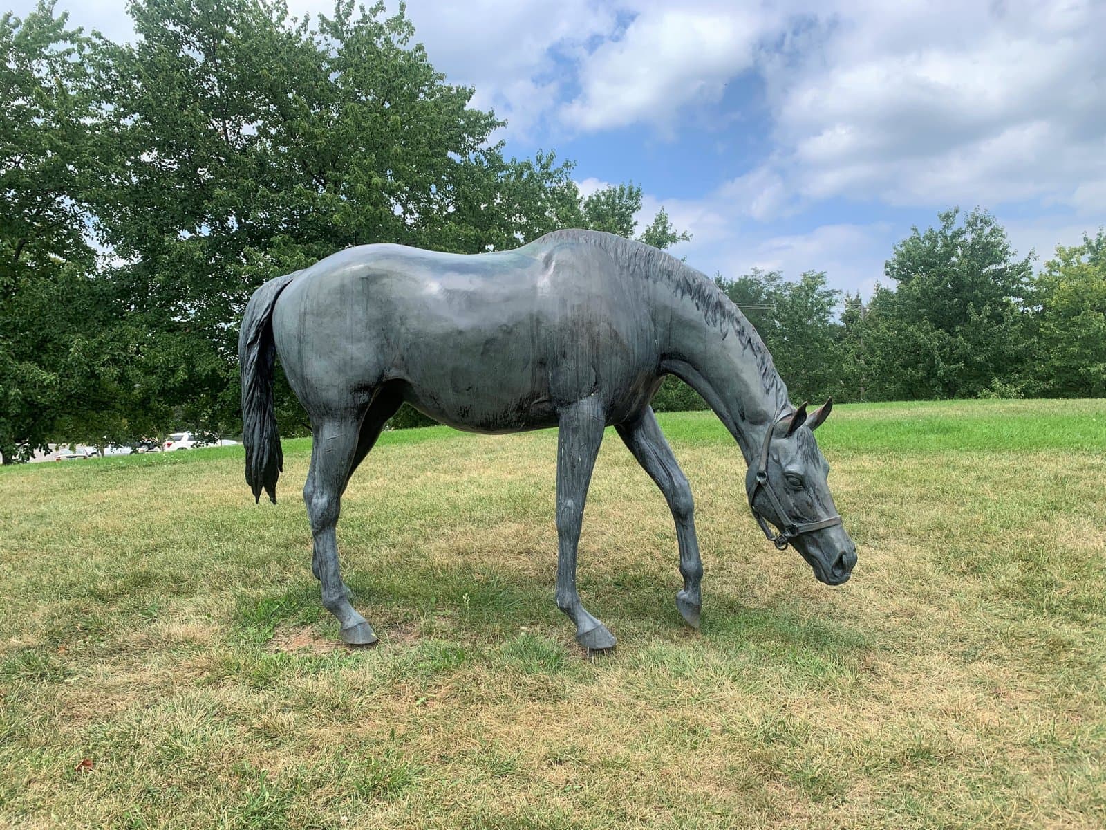 Grazing Mare