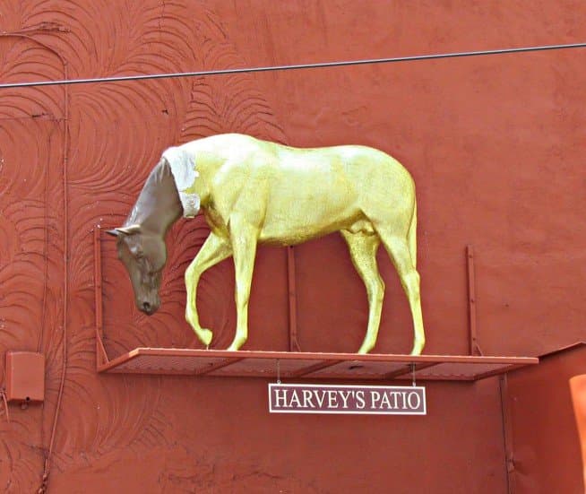 Lady Godiva's Horse